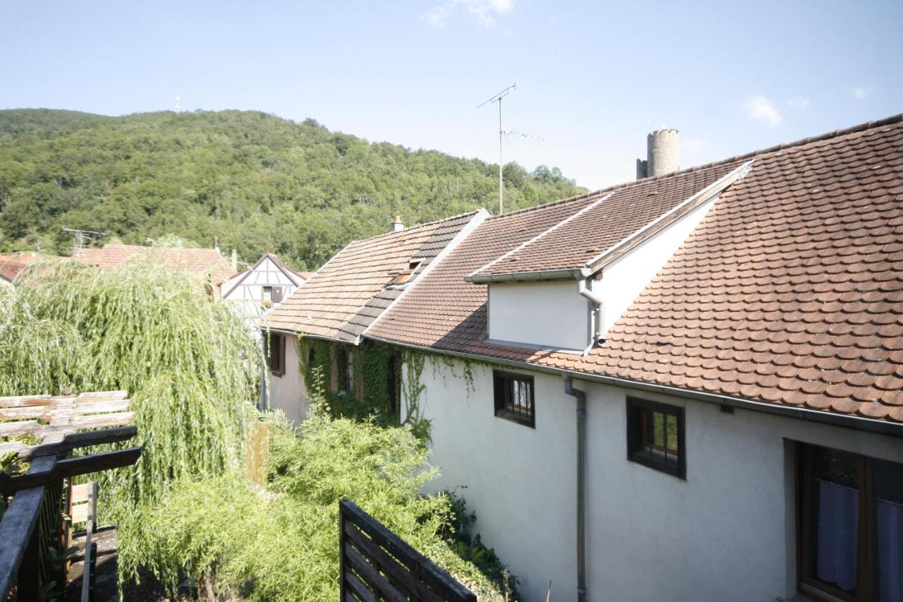 Appartement Le Keiler Kaysersberg-Vignoble Exterior foto